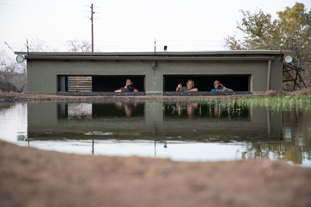 Antares bush camp - wildlife photography hide in South Africa