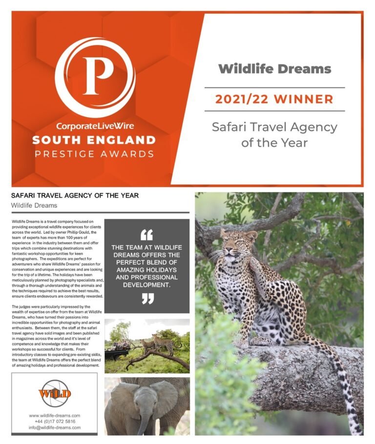 Wildlife Dreams - Magazine award