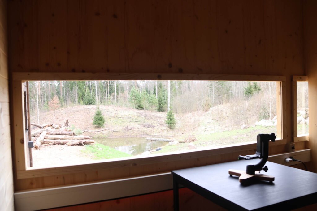 rock hide window