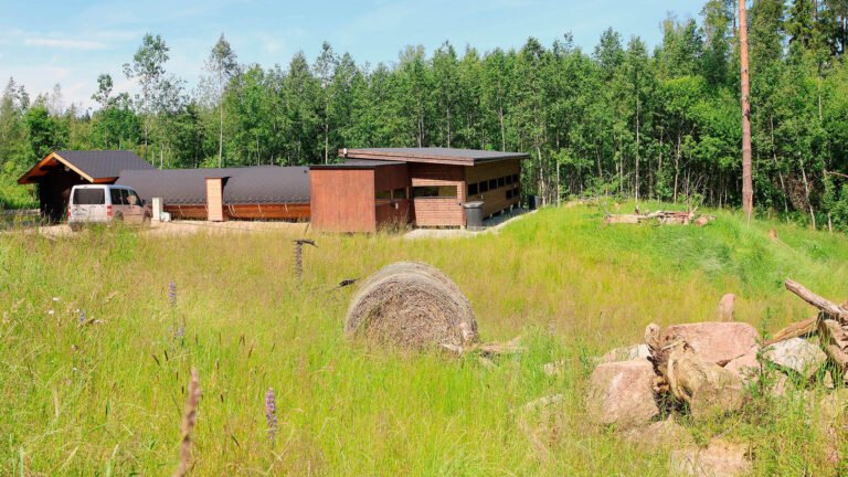 Our wildlife hide complex in Estonia in summer.