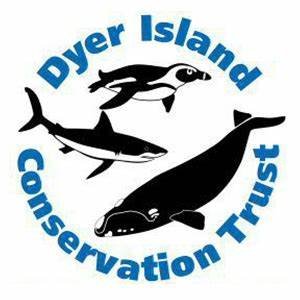 Dyer Island Conservation Trust