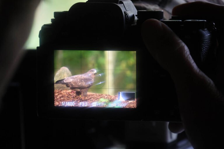 A special Digital Camera Magazine's Reader’s Challenge at our wildlife hide in Estonia in partnership with Sony and wildlife photographer Paul Browning