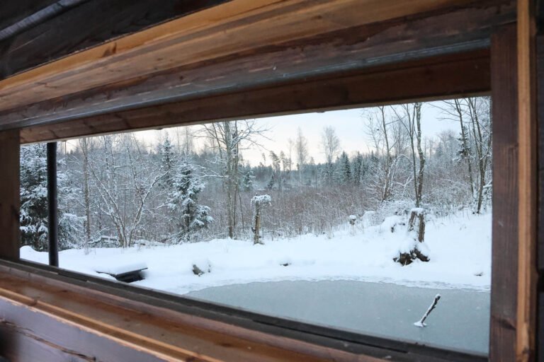 outside glass - what the wildlife see