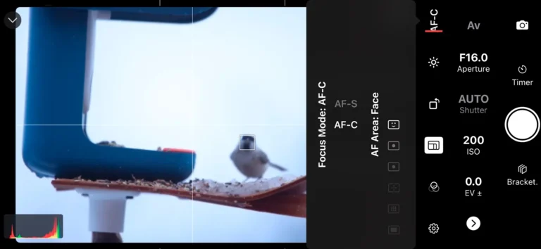Using the Shutter App to photograph birds close up without disturbance.
