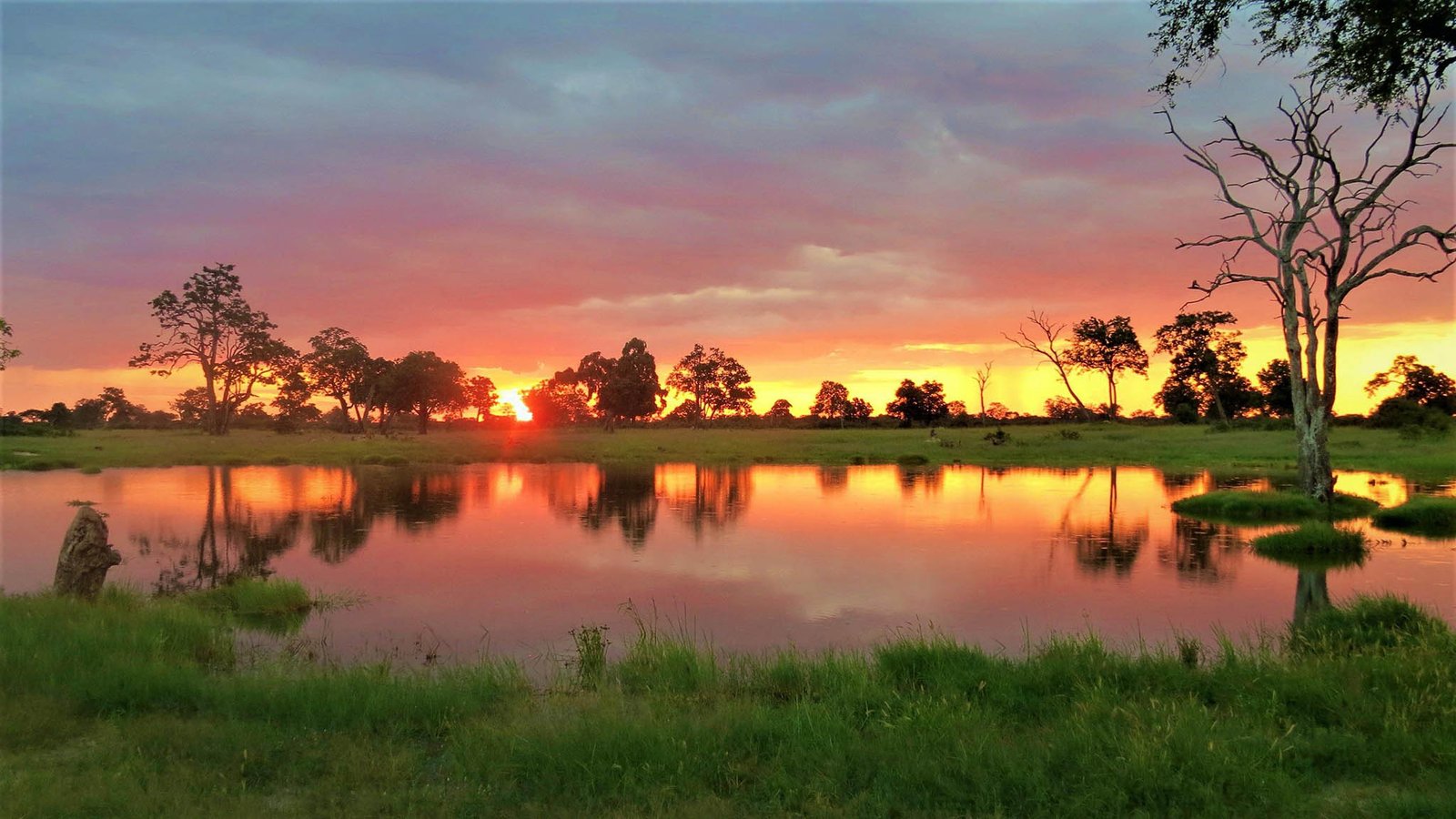 Sunset in Hwange