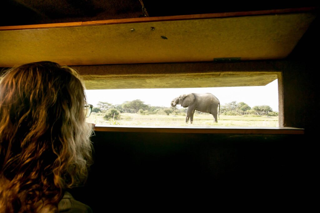 The Underground Wildlife Photography Hide in Africa.