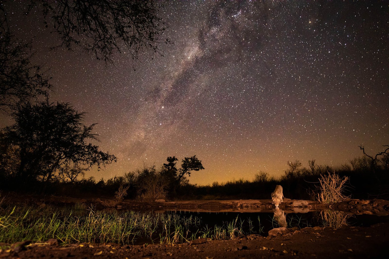 Antares bush camp - Photo credit Villiers Steyn